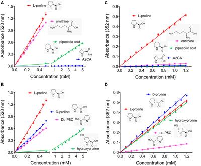 A Specific and Sensitive Enzymatic Assay for the Quantitation of L-Proline